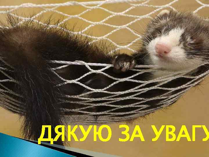 ДЯКУЮ ЗА УВАГУ 