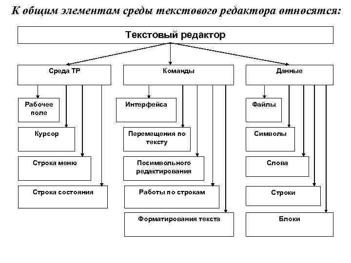 К числу основных функций текстового редактора относятся