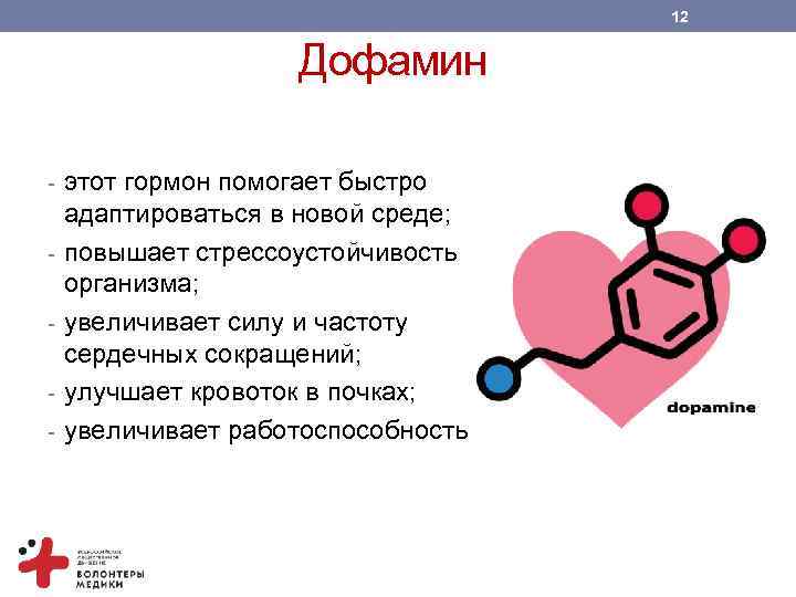 12 Дофамин - этот гормон помогает быстро - адаптироваться в новой среде; повышает стрессоустойчивость