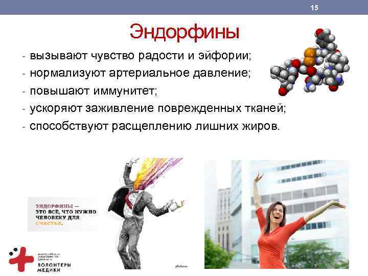 15 Эндорфины - вызывают чувство радости и эйфории; - нормализуют артериальное давление; - повышают