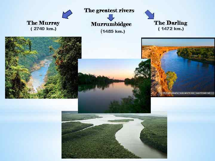 The greatest rivers The Murray ( 2740 km. ) Murrumbidgee (1485 km. ) The