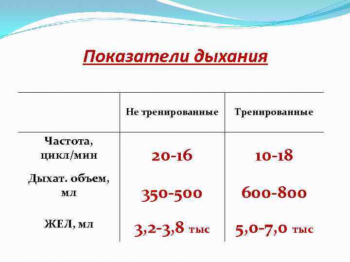 Показатели дыхания Не тренированные Тренированные Частота, цикл/мин 20 -16 10 -18 Дыхат. объем, мл