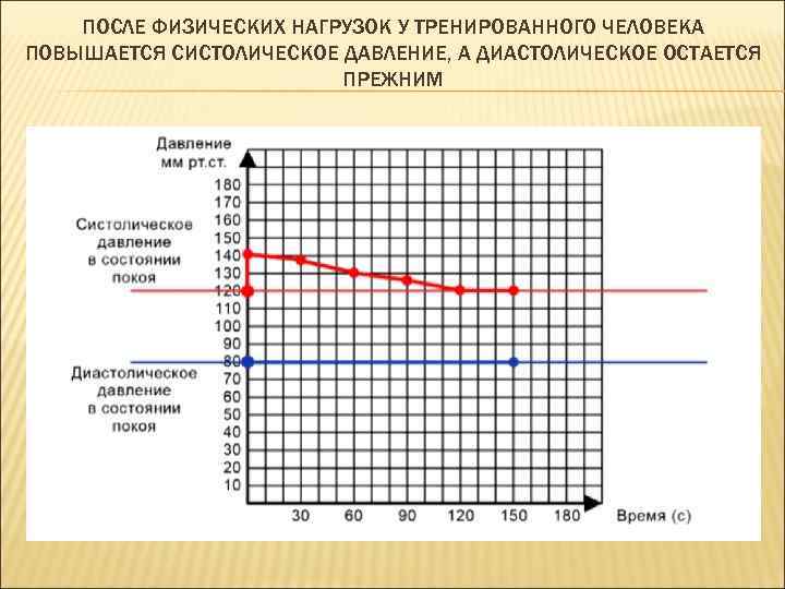 ПОСЛЕ ФИЗИЧЕСКИХ НАГРУЗОК У ТРЕНИРОВАННОГО ЧЕЛОВЕКА ПОВЫШАЕТСЯ СИСТОЛИЧЕСКОЕ ДАВЛЕНИЕ, А ДИАСТОЛИЧЕСКОЕ ОСТАЕТСЯ ПРЕЖНИМ 