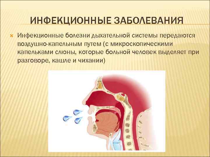 ИНФЕКЦИОННЫЕ ЗАБОЛЕВАНИЯ Инфекционные болезни дыхательной системы передаются воздушно-капельным путем (с микроскопическими капельками слюны, которые