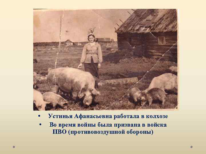  • • Устинья Афанасьевна работала в колхозе Во время войны была призвана в
