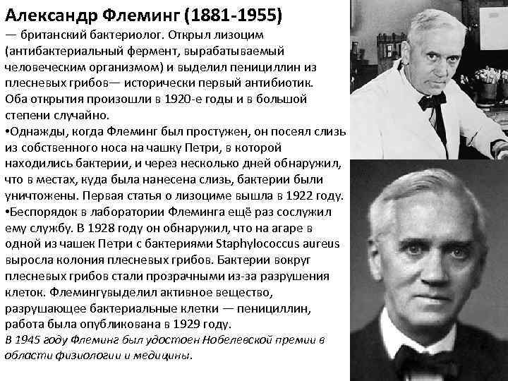 Александр Флеминг (1881 -1955) — британский бактериолог. Открыл лизоцим (антибактериальный фермент, вырабатываемый человеческим организмом)