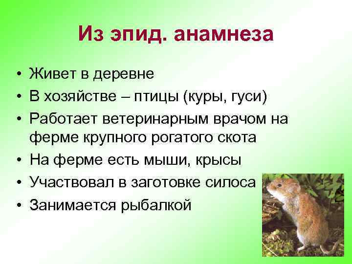 Из эпид. анамнеза • Живет в деревне • В хозяйстве – птицы (куры, гуси)