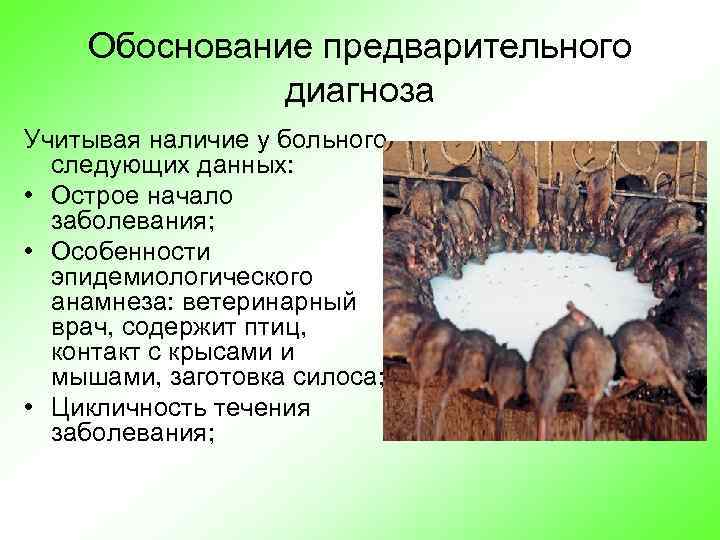 Обоснование предварительного диагноза Учитывая наличие у больного следующих данных: • Острое начало заболевания; •