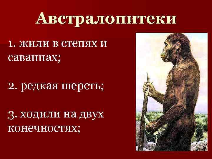 Австралопитеки 1. жили в степях и саваннах; 2. редкая шерсть; 3. ходили на двух