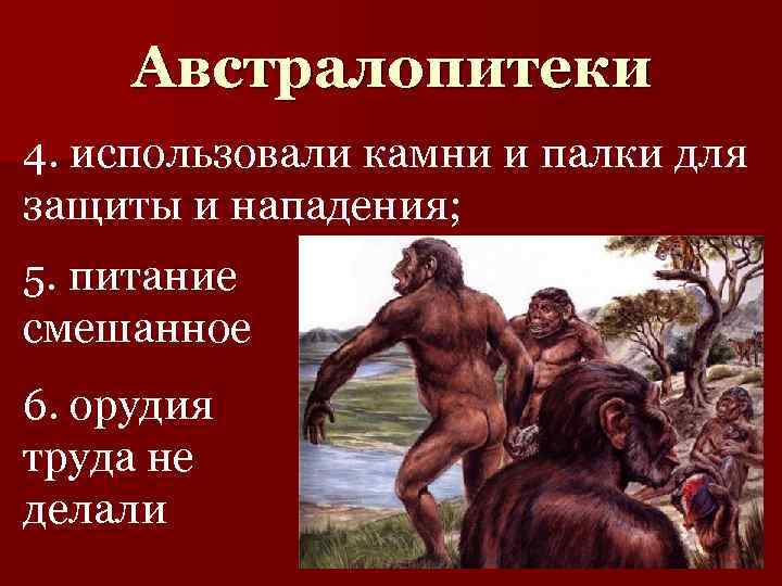 Австралопитеки 4. использовали камни и палки для защиты и нападения; 5. питание смешанное 6.