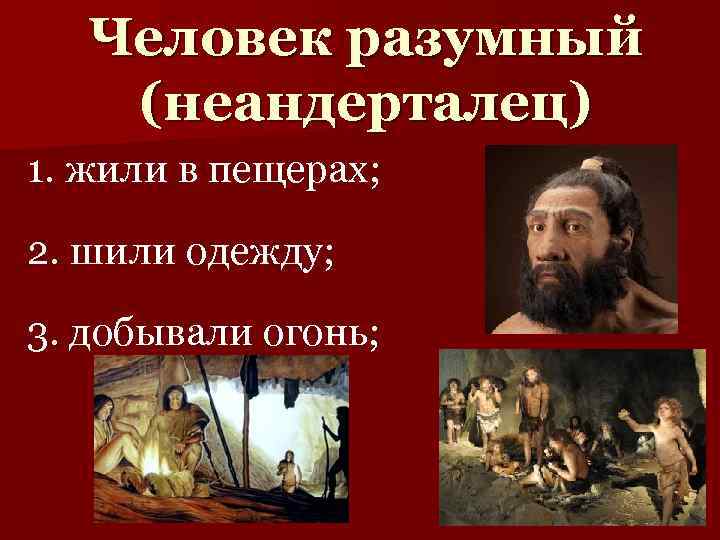 Человек разумный (неандерталец) 1. жили в пещерах; 2. шили одежду; 3. добывали огонь; 