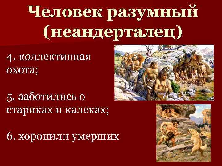 Человек разумный (неандерталец) 4. коллективная охота; 5. заботились о стариках и калеках; 6. хоронили