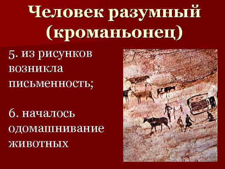 Человек разумный (кроманьонец) 5. из рисунков возникла письменность; 6. началось одомашнивание животных 