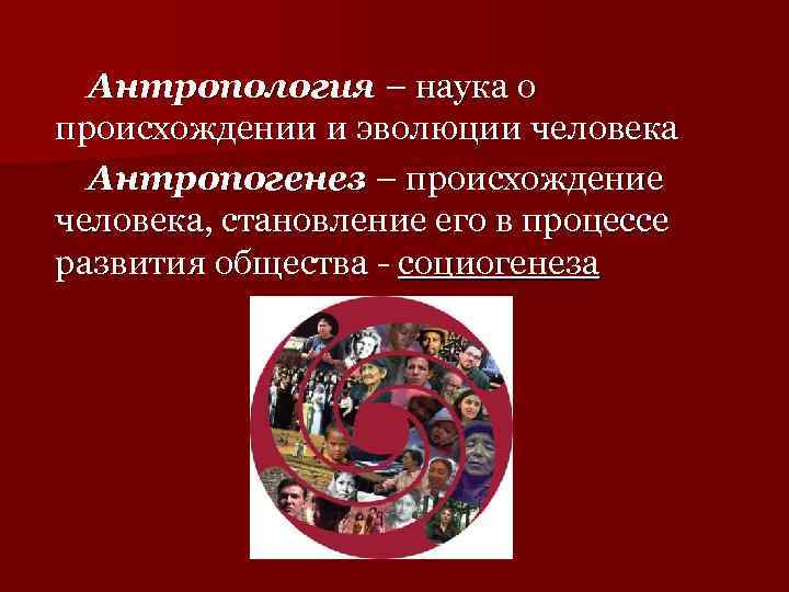 Антропология – наука о происхождении и эволюции человека Антропогенез – происхождение человека, становление его