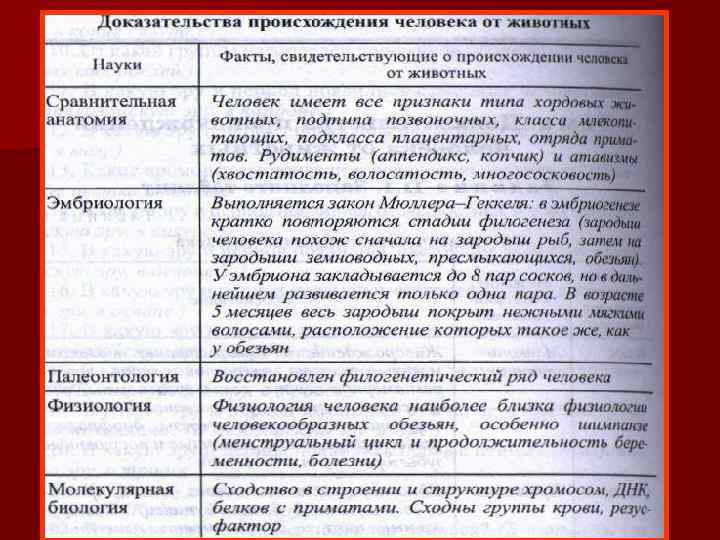 Доказательство происхождения человека от животных таблица