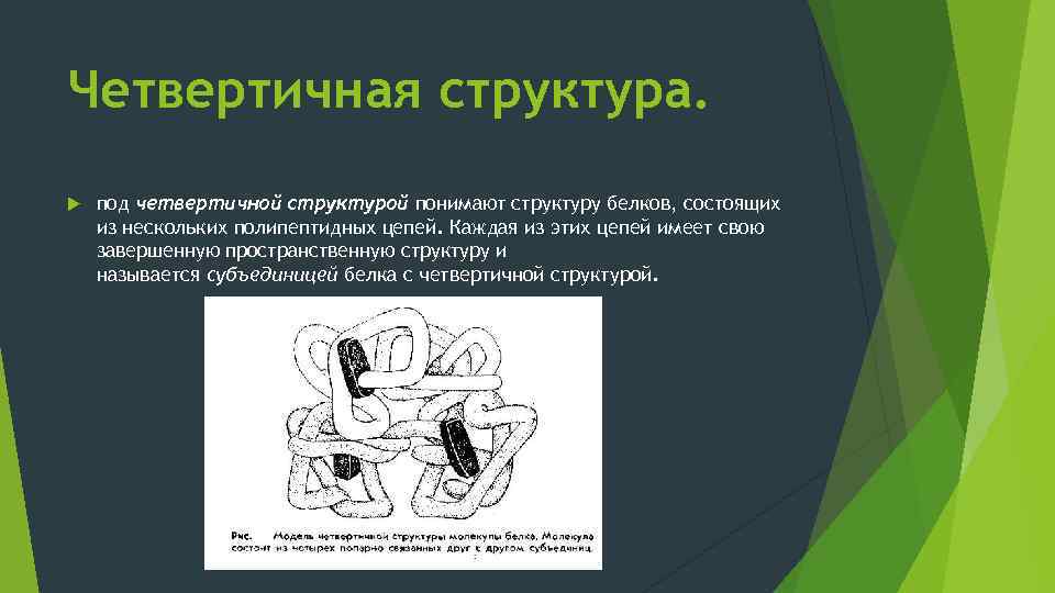 Под структурой понимают. Что понимают под четвертичной структурой белка. Имеет четвертичную структуру. Восстановление пространственной структуры белка называется. Четвертичная структура это сборка нескольких съ.