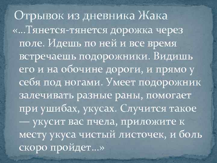 Отрывок из дневника Жака «…Тянется-тянется дорожка через поле. Идешь по ней и все время