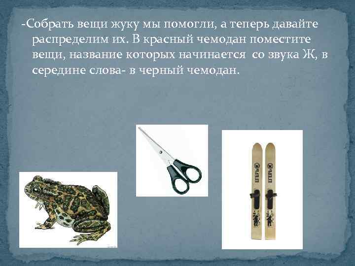 -Собрать вещи жуку мы помогли, а теперь давайте распределим их. В красный чемодан поместите