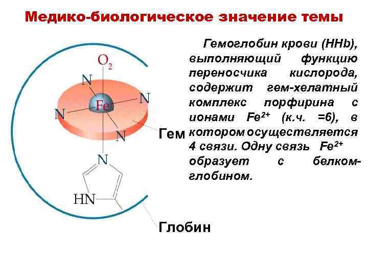 Медико-биологическое значение темы Гемоглобин крови (HHb), выполняющий функцию переносчика кислорода, содержит гем-хелатный комплекс порфирина