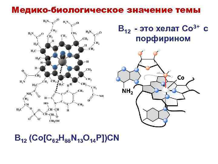 Медико-биологическое значение темы B 12 - это хелат Co 3+ c - порфирином B