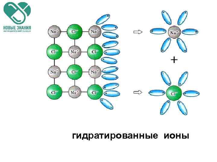  гидратированные ионы 