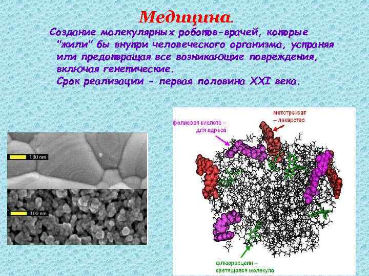 Медицина. Создание молекулярных роботов-врачей, которые "жили" бы внутри человеческого организма, устраняя или предотвращая все