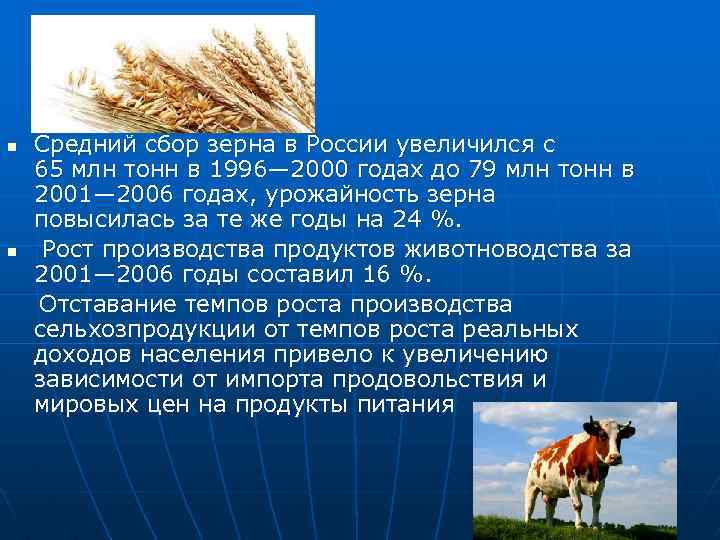 Средний сбор зерна в России увеличился с 65 млн тонн в 1996— 2000 годах