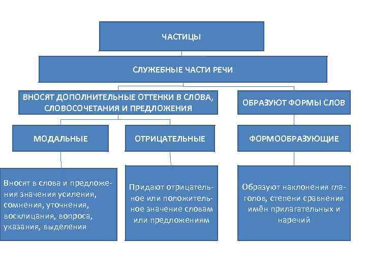 ЧАСТИЦЫ СЛУЖЕБНЫЕ ЧАСТИ РЕЧИ ВНОСЯТ ДОПОЛНИТЕЛЬНЫЕ ОТТЕНКИ В СЛОВА, СЛОВОСОЧЕТАНИЯ И ПРЕДЛОЖЕНИЯ ОБРАЗУЮТ ФОРМЫ