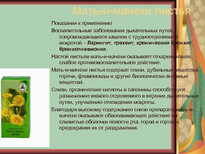 Мать-и-мачехи листья Показания к применению Воспалительные заболевания дыхательных путей, сопровождающиеся кашлем с трудноотделяемой мокротой