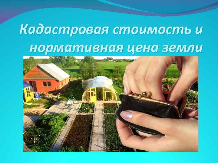 Кадастровая стоимость и нормативная цена земли 
