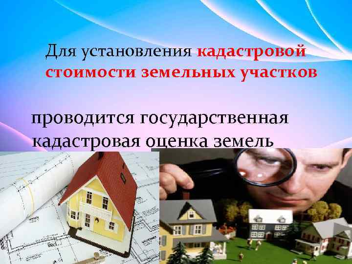 Для установления кадастровой стоимости земельных участков проводится государственная кадастровая оценка земель 
