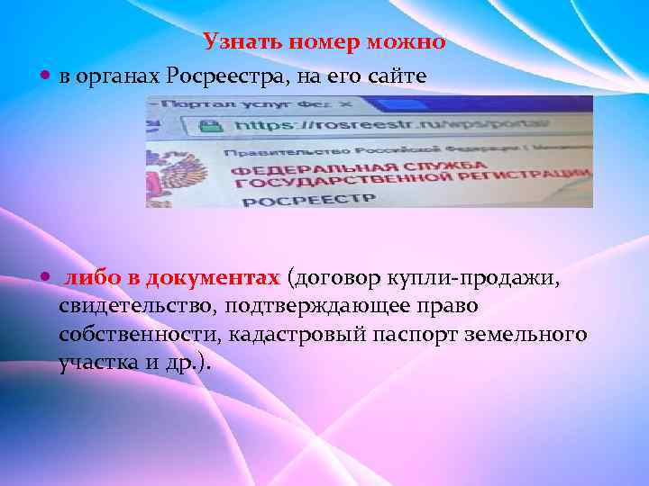Узнать номер можно в органах Росреестра, на его сайте либо в документах (договор купли-продажи,