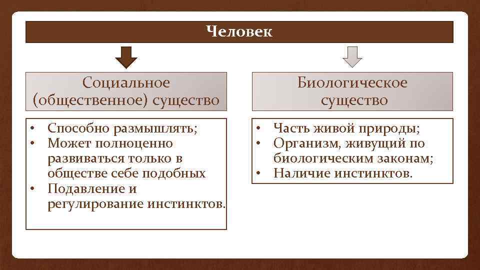 Человек Социальное (общественное) существо • Способно размышлять; • Может полноценно развиваться только в обществе