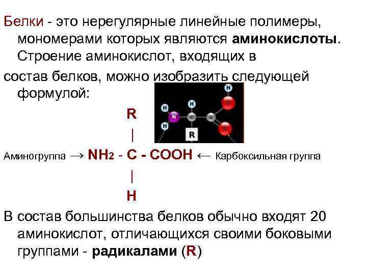 Особенности строения аминокислот