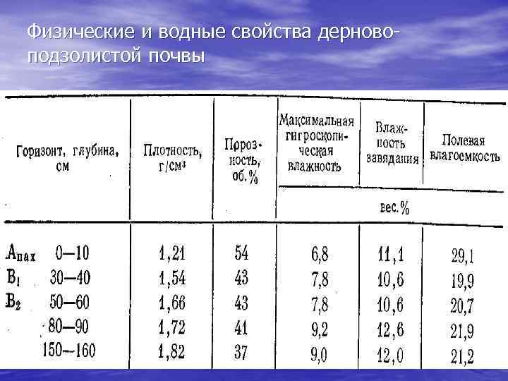 Классификация почв 2004