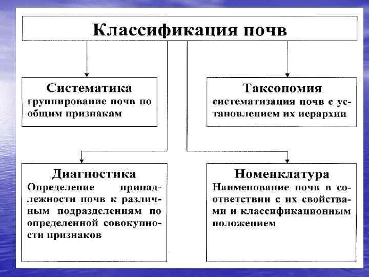 Классификация почв. Принципы классификации почв. Классификация и диагностика почв СССР 1977. Классификационные единицы почвы.