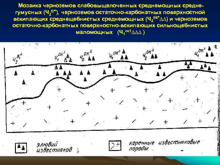 Мозаика черноземов слабовыщелоченных среднемощных средне гумусных (Ч 2 В