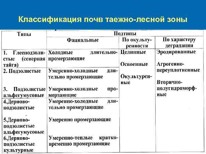 Классификация почв таежно лесной зоны 