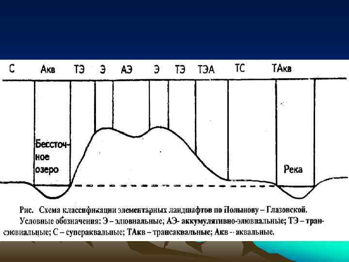 Геохимический ландшафт. Элементарный геохимический ландшафт. Основные типы элементарных ландшафтов. Схема элементарных ландшафтов. Схема элементарных ландшафтов по Полынову.