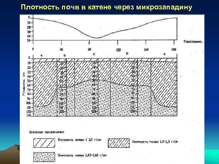 Плотность почв в катене через микрозападину 