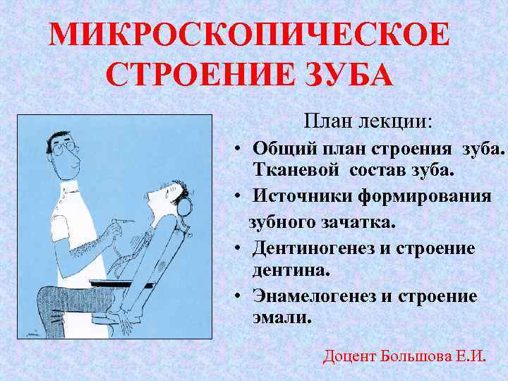 МИКРОСКОПИЧЕСКОЕ СТРОЕНИЕ ЗУБА План лекции: • Общий план строения зуба. Тканевой состав зуба. •