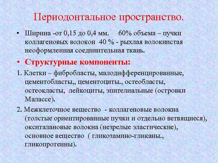 Периодонтальное пространство. • Ширина -от 0, 15 до 0, 4 мм. 60% объема –