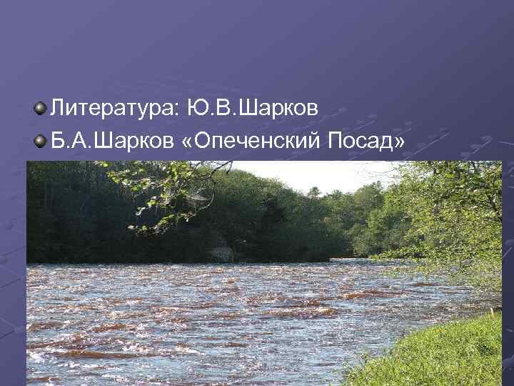 Литература: Ю. В. Шарков Б. А. Шарков «Опеченский Посад» 