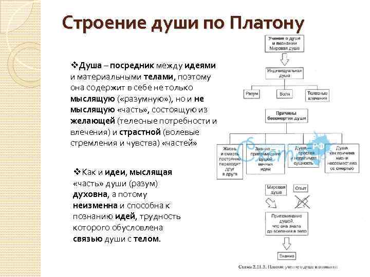 Составляющие душа. Состав души по Платону. Три части души по Платону. Строение души по Платону. Структура души по Платону.