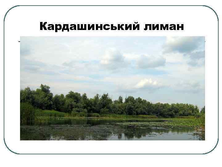 Кардашинський лиман 