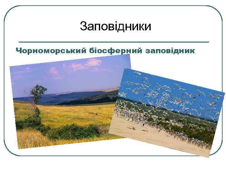 Заповідники Чорноморський біосферний заповідник 