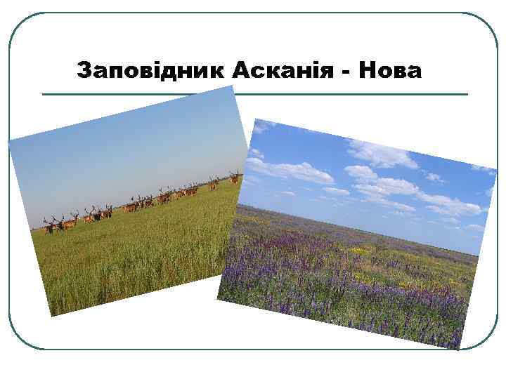 Заповідник Асканія - Нова 