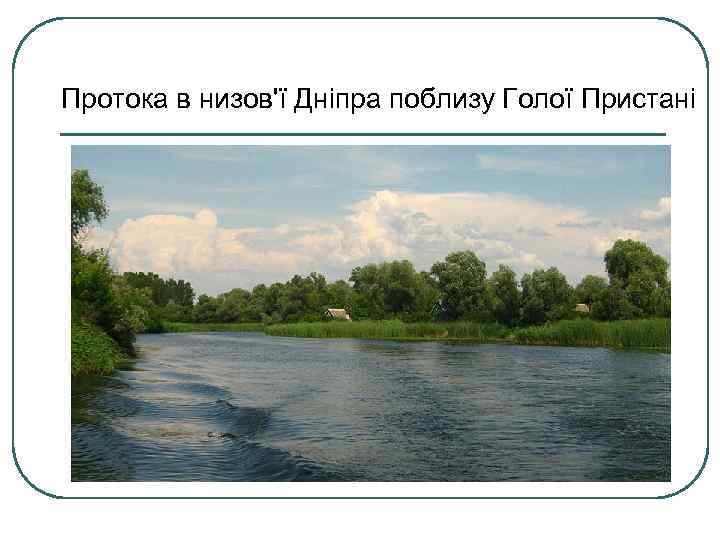 Протока в низов'ї Дніпра поблизу Голої Пристані 