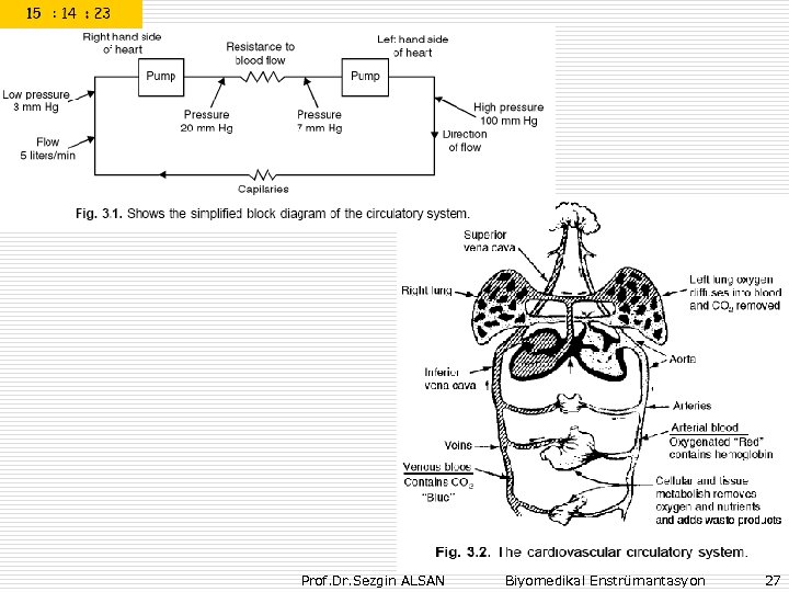Prof. Dr. Sezgin ALSAN Biyomedikal Enstrümantasyon 27 