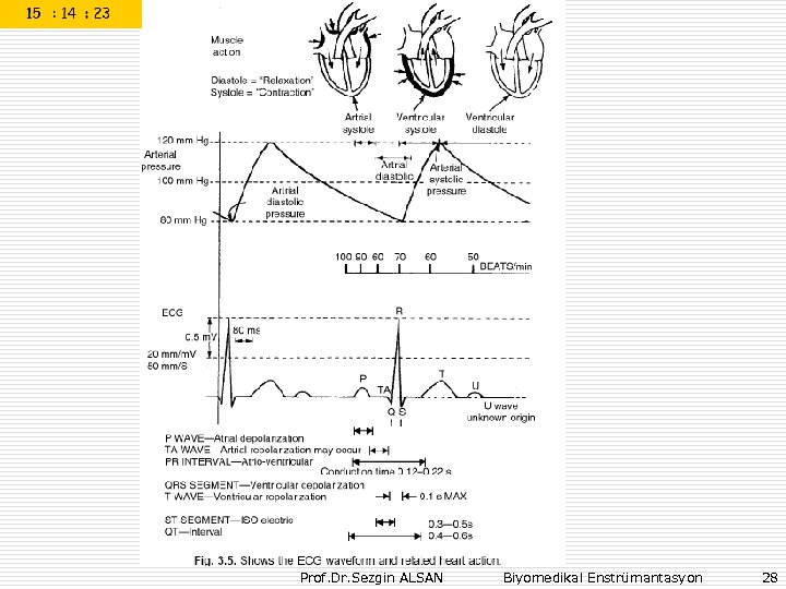 Prof. Dr. Sezgin ALSAN Biyomedikal Enstrümantasyon 28 